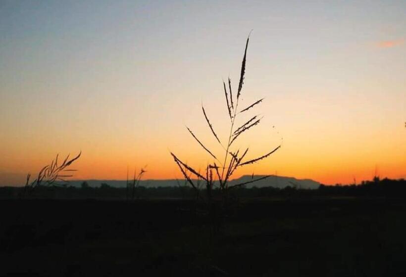 Resort บ้านทุ่ง เคียงบึง รีสอร์ท