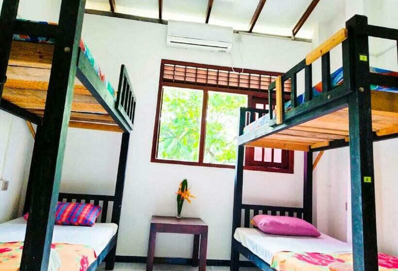Backpacker Galle Hostel