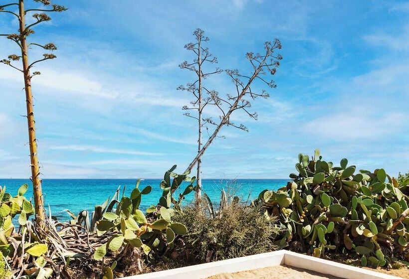 酒店 Amasea Resort