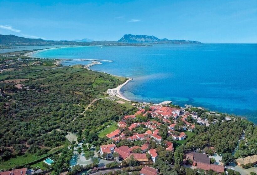 酒店 Amasea Resort