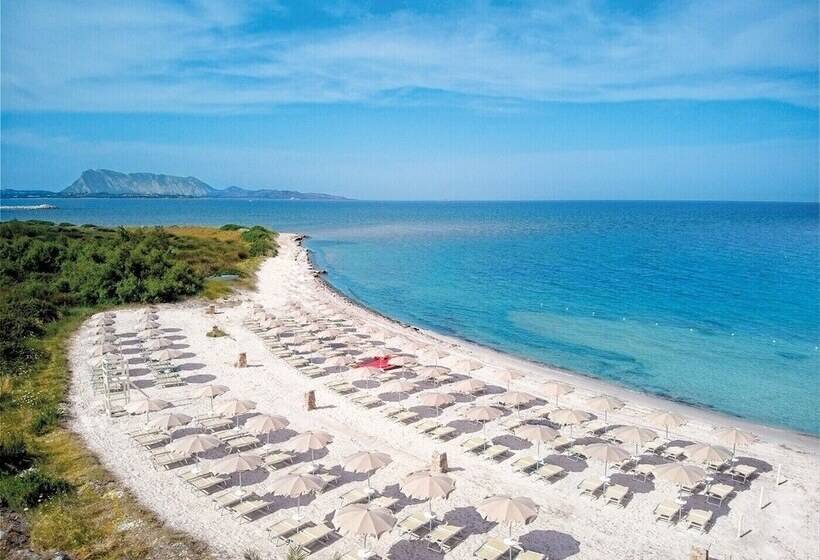 酒店 Amasea Resort