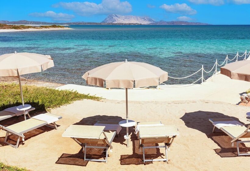 酒店 Amasea Resort