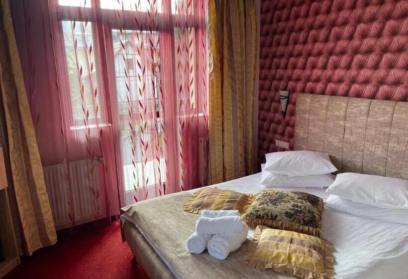 ホテル Casa Dunarea By Genco