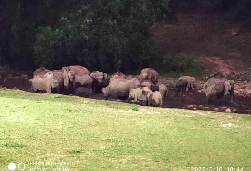 호텔 Mountain View Cottage Mankulam