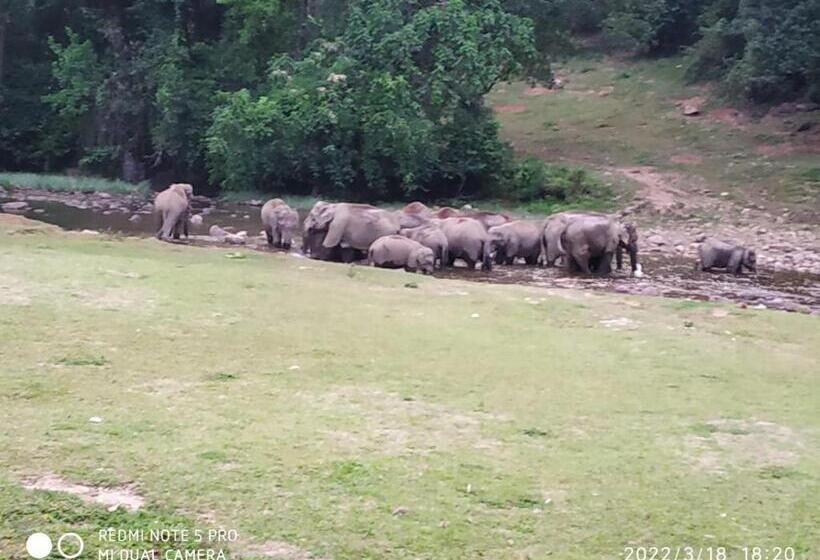 호텔 Mountain View Cottage Mankulam