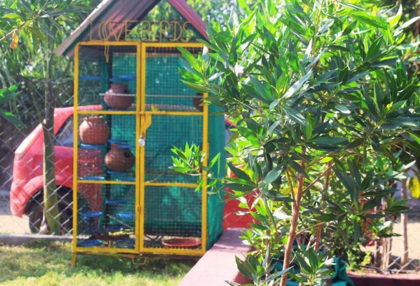 هتل Strawberry Resort