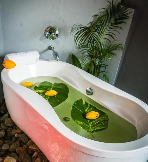 膳宿费 Guava Shores Castara