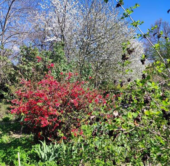 Пансион Il Giardino Del Gallo