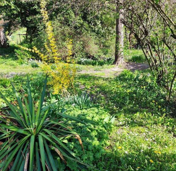 Пансион Il Giardino Del Gallo