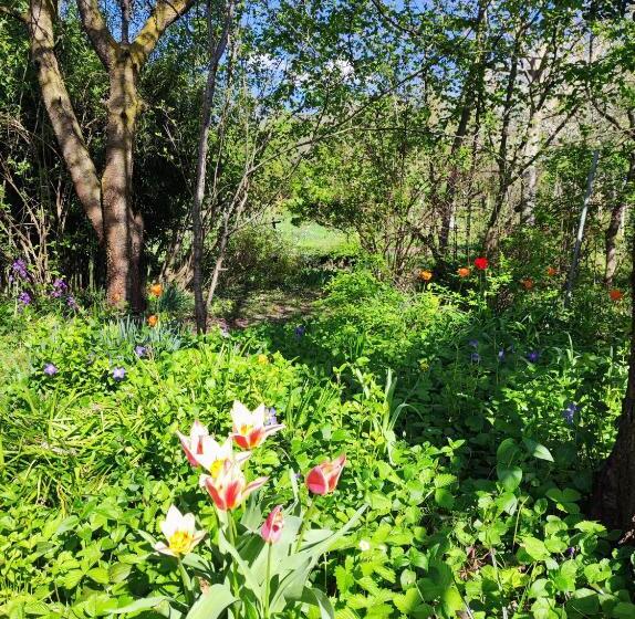 Пансион Il Giardino Del Gallo