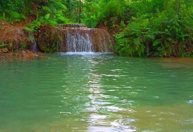 פנסיון Room In Cabin   Sierraverde Cabins Huasteca Potosina