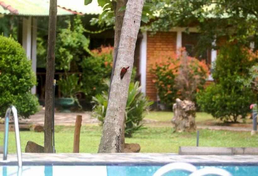 The Mastodon Valley Safari Resort