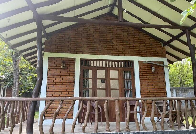 The Mastodon Valley Safari Resort