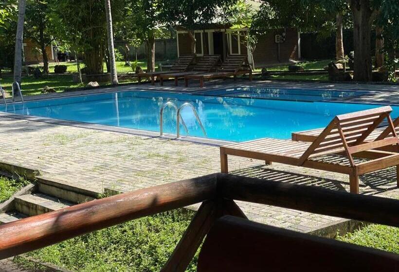 The Mastodon Valley Safari Resort