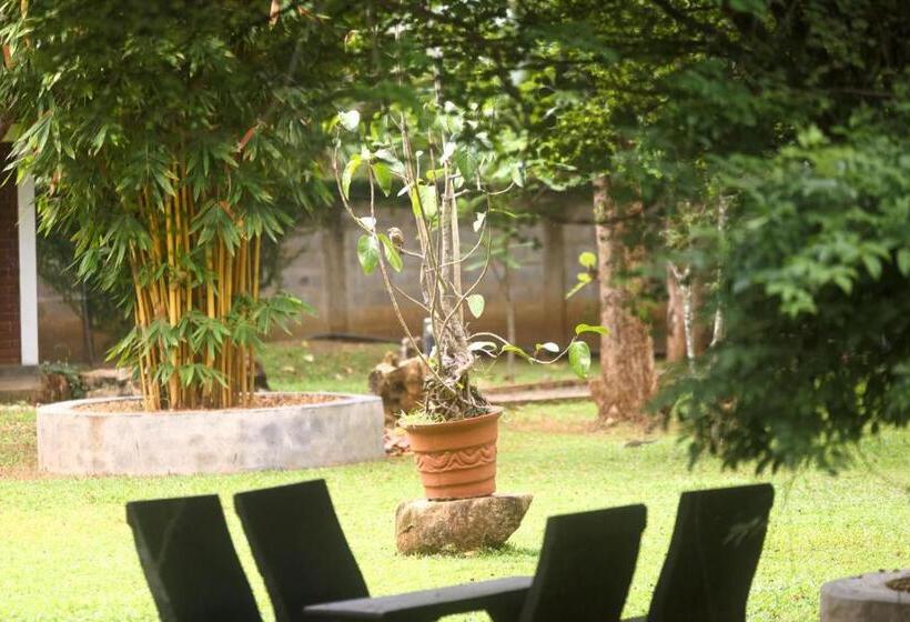 The Mastodon Valley Safari Resort