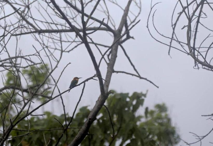 The Mastodon Valley Safari Resort