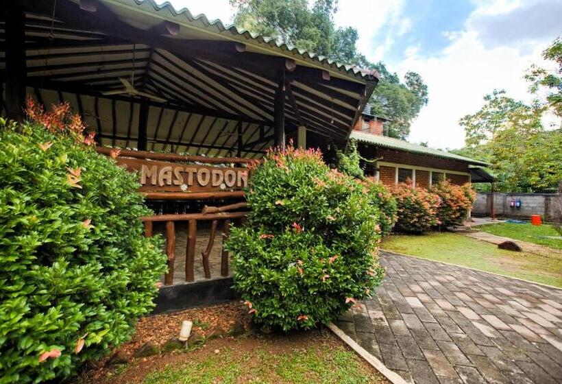 The Mastodon Valley Safari Resort