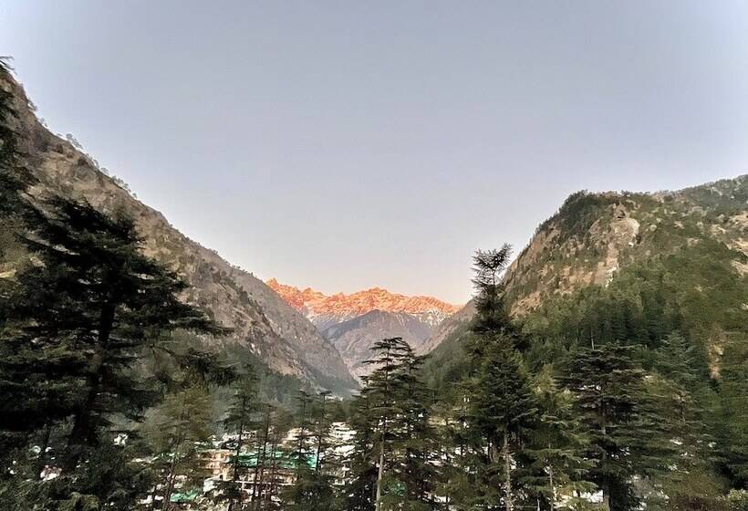 هاستل Diamond Valley X One Light Stays