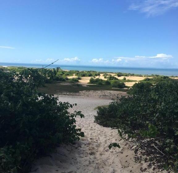 הוסטל Pousada Cactos