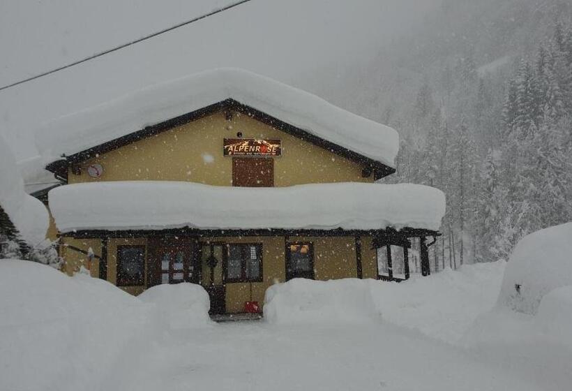 호스텔 Rifugio Alpenrose