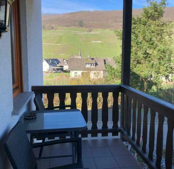 Общежитие Weingut Lehnert Später