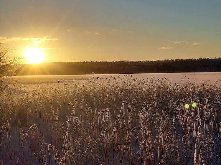 Föllinge Bed And Breakfast