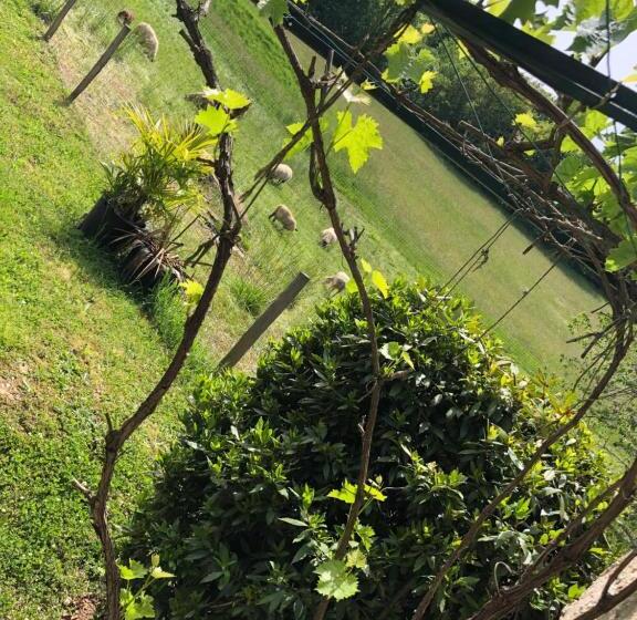 פנסיון La Ferme Parrinet Gîte Et Chambres D Hôtes