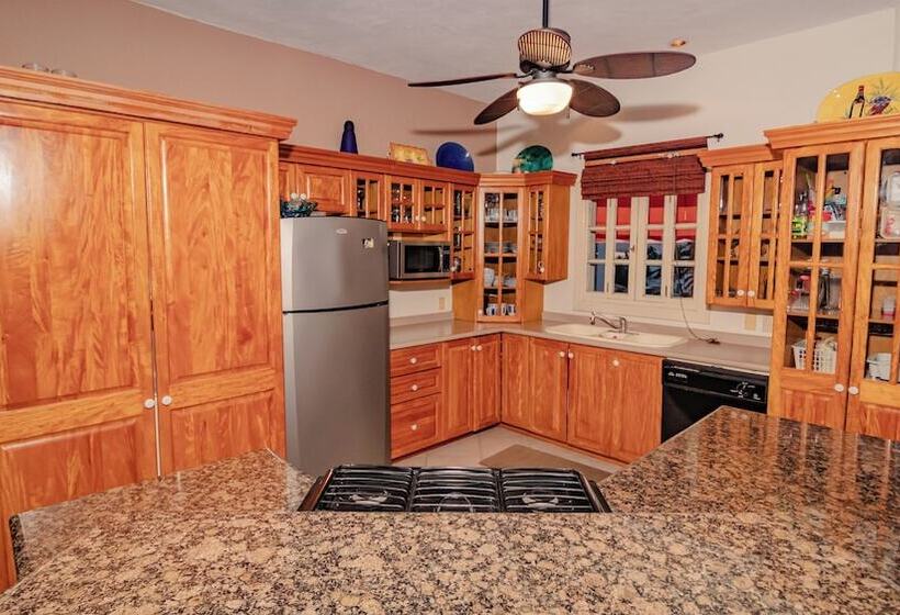 Пансион Mi Mexico