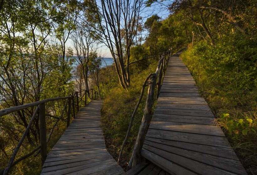 Vita Rama Holistic Hotel Vegan Fb