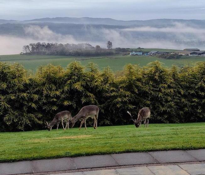 مبيت وإفطار 7 Burnside House