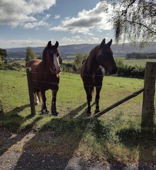 مبيت وإفطار 7 Burnside House