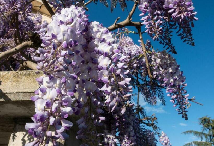 مبيت وإفطار Il Glicine