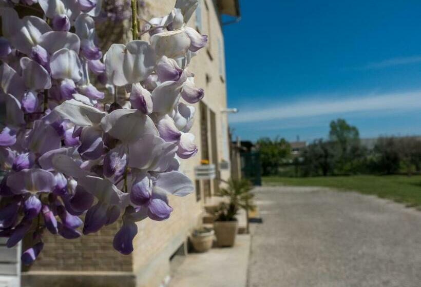 مبيت وإفطار Il Glicine