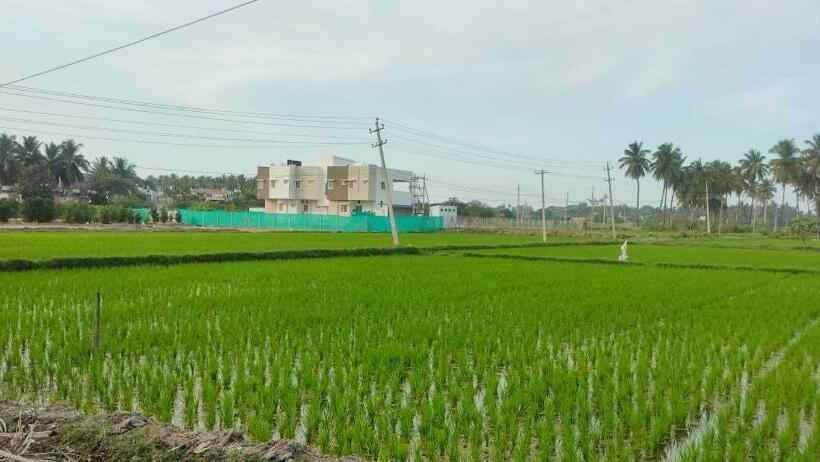 호텔 Chandana Green View Resort