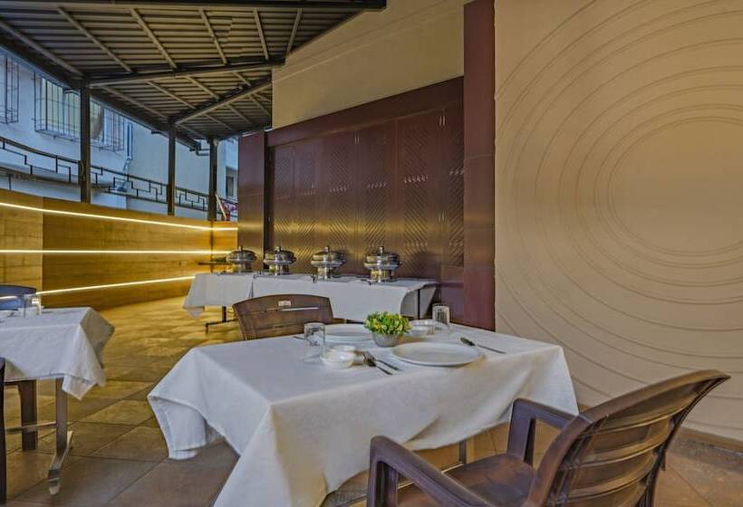 酒店 Treebo Premium Savera Inn