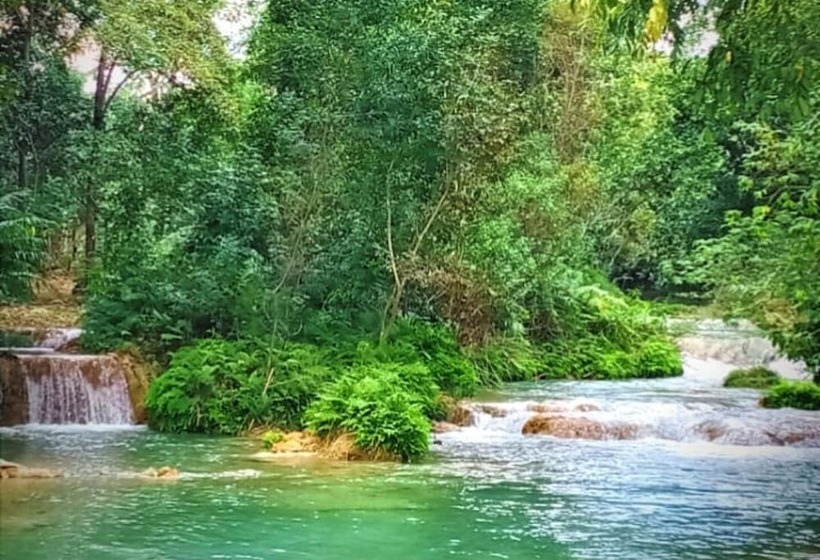 פנסיון Room In Cabin   Cabanas Sierraverde Huasteca Potosina Highland Cabin