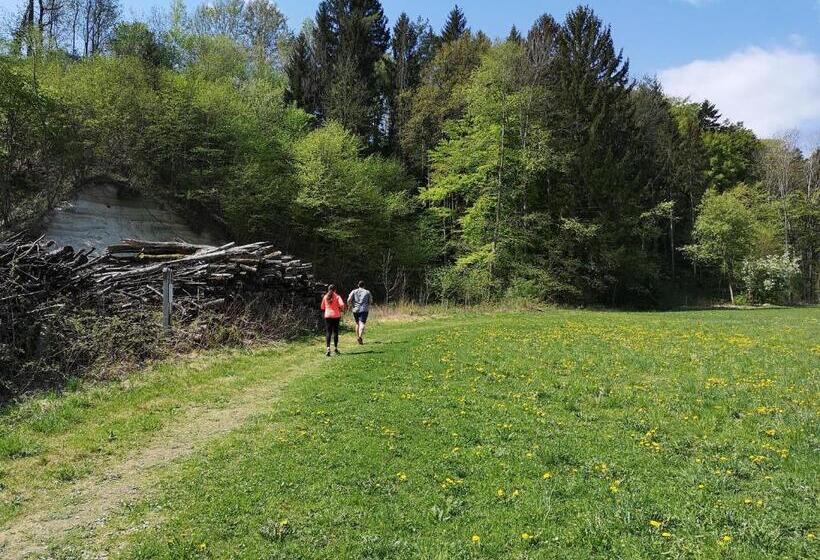 Wohlfühl Hotel Wiesenhof