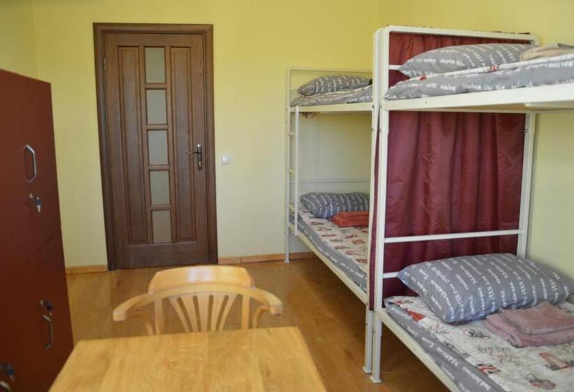 Hostel хостел під фікусом