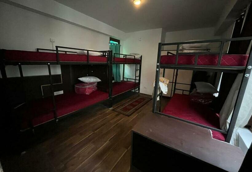 호스텔 Backpackers Den