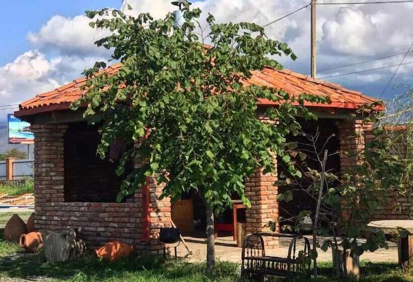 تختخواب و صبحانه Barnavela Hotel  Wine Cellar