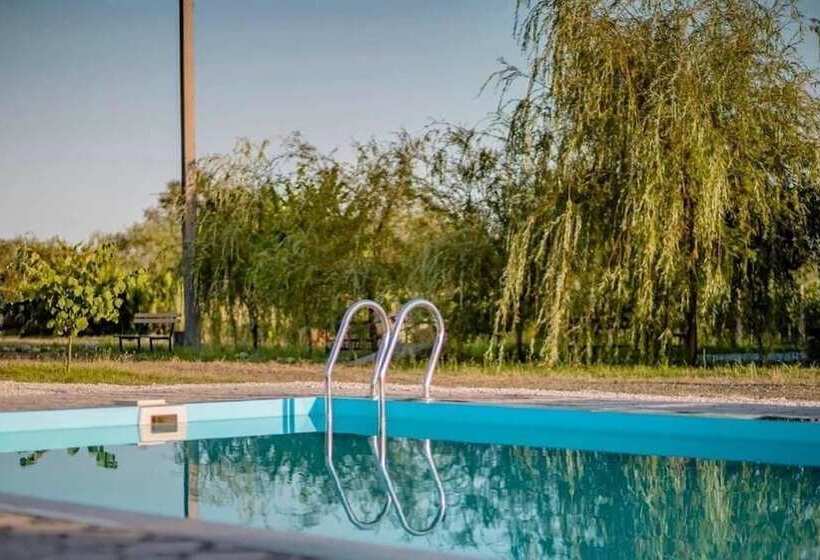 تختخواب و صبحانه Barnavela Hotel  Wine Cellar