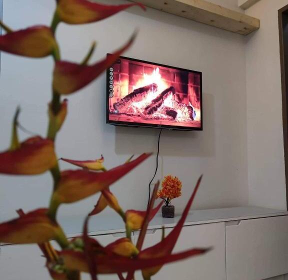 Nocleg ze śniadaniem Big Brotherhouse