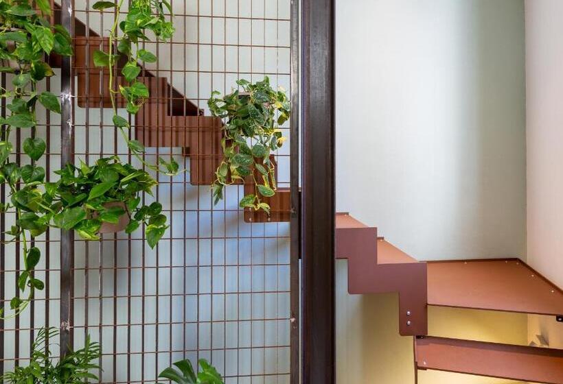 Bed and Breakfast Terracielo