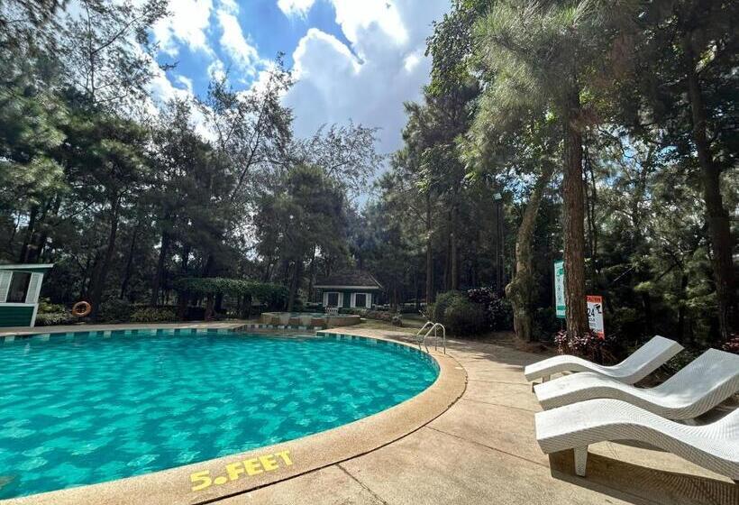 Crosswinds Resort Studio Suite