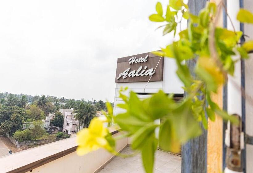 酒店 Aalia