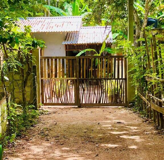 פנסיון Banana Palace Weligama