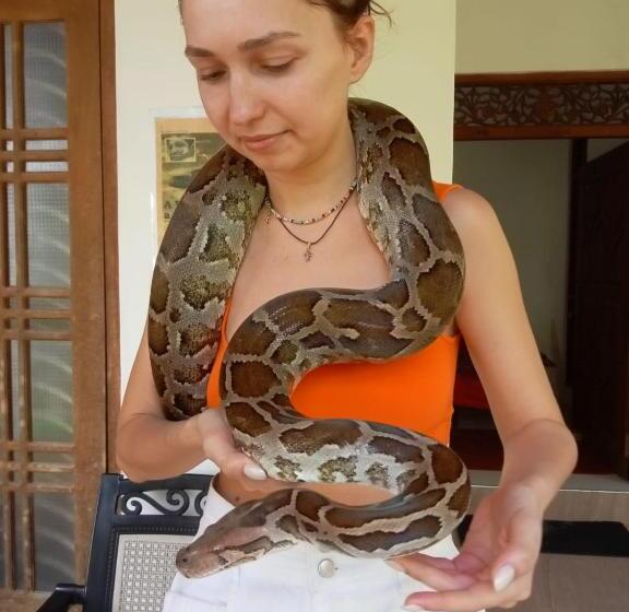 פנסיון Banana Palace Weligama