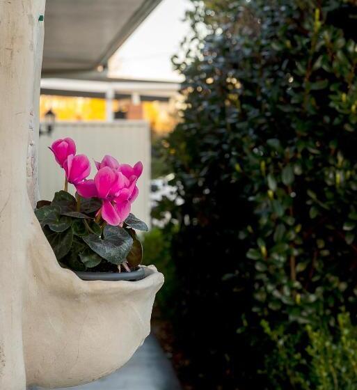 Toowoomba Hospital Apartments
