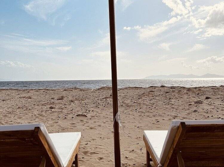 تختخواب و صبحانه Soho Ayvalık