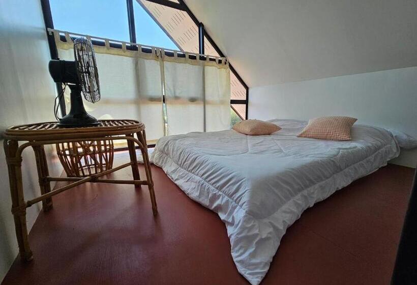 酒店 ไร่ปาริชาติ